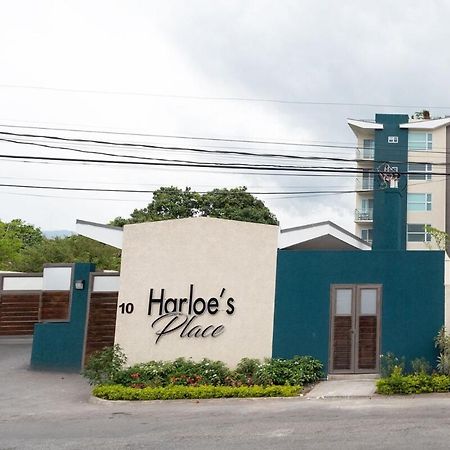 Harloe'S Place 킹스톤 외부 사진